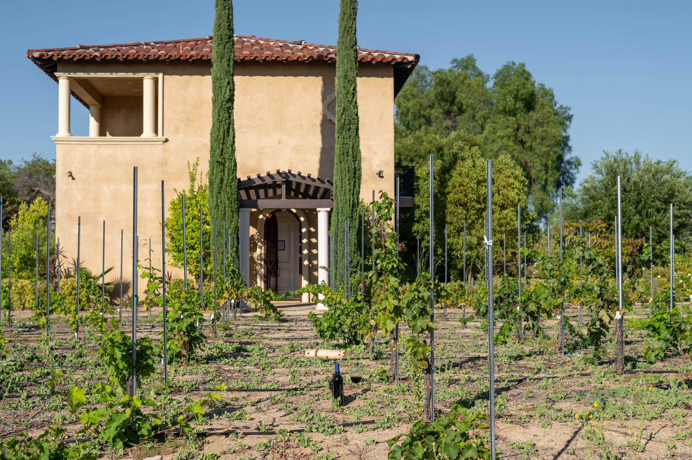 exterior of Villa de Portola with vines in front